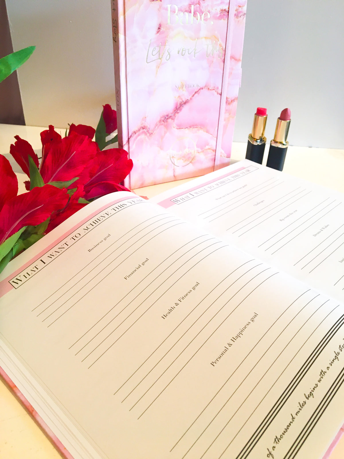 PRE-ORDER | 2027 Life Planner, Agenda and Journal in one